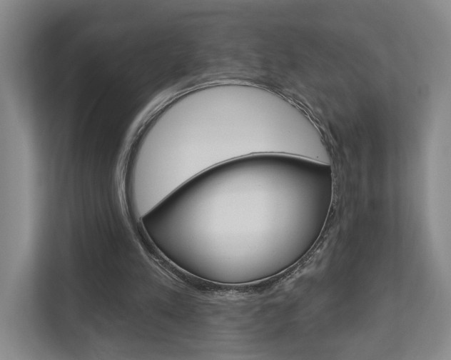 X0000113000197200908270926