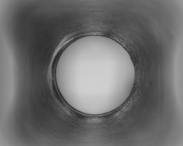 X0000113000198200908270926