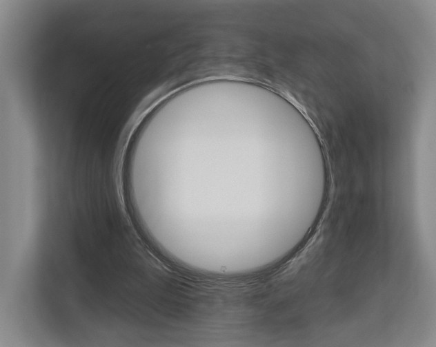 X0000113000199200908270926