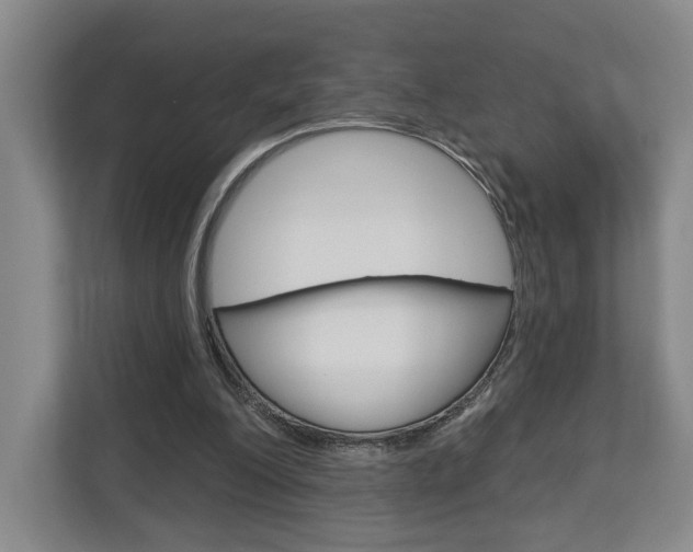 X0000113000200200908270926
