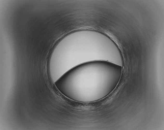 X0000113000201200908270926