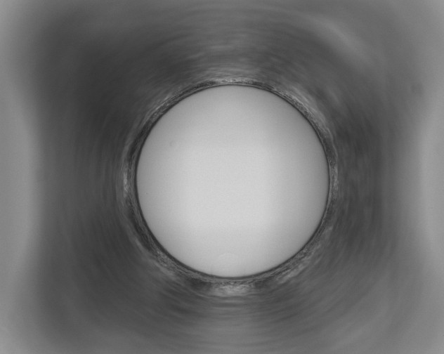 X0000113000202200908270926