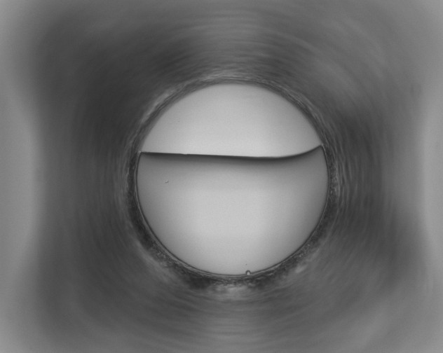 X0000113000208200908270926