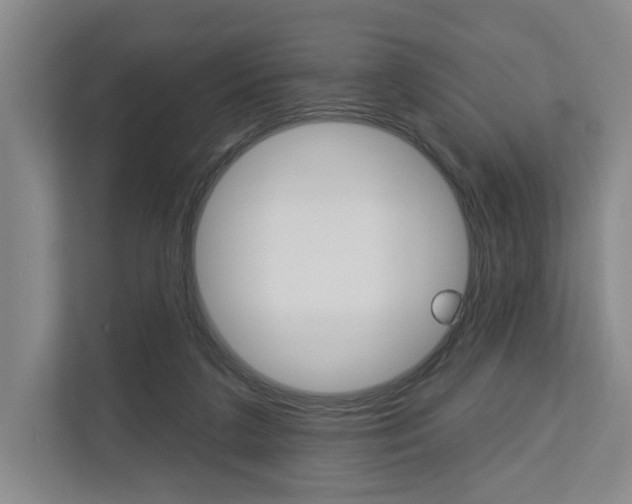 X0000113000211200908270926
