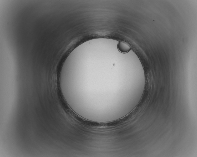 X0000113000212200908270926