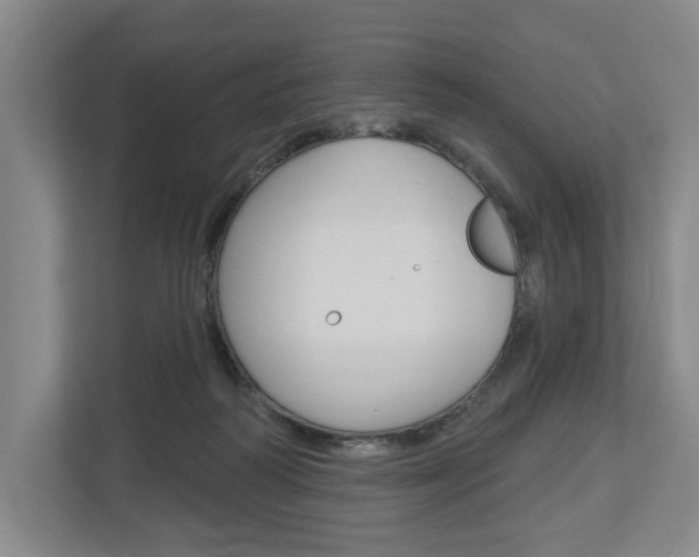 X0000113000218200908270926