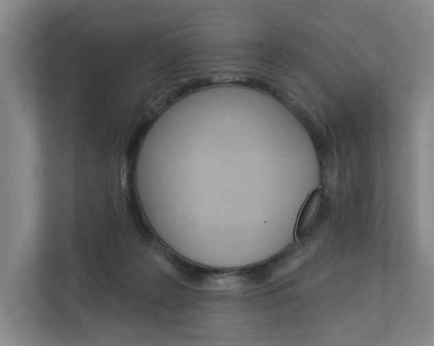 X0000113000219200908270926
