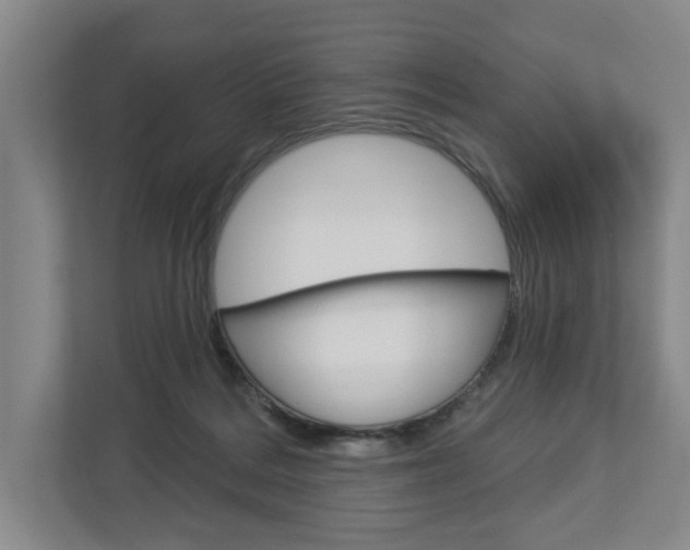 X0000113000220200908270926