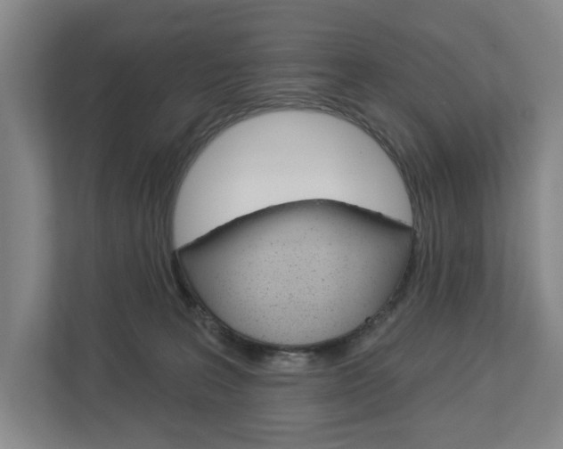 X0000113000227200908270926