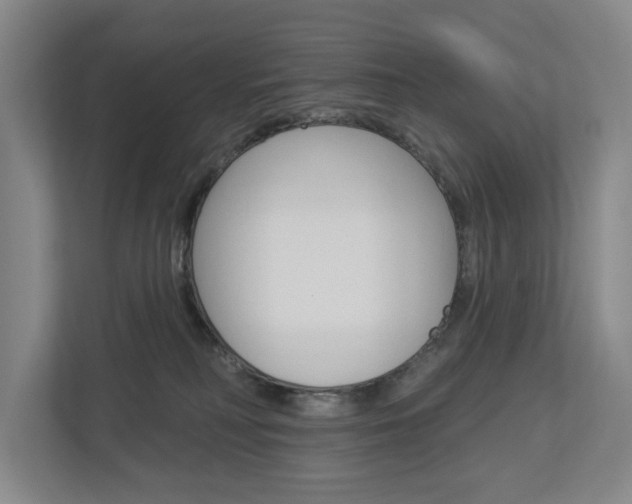 X0000113000230200908270926