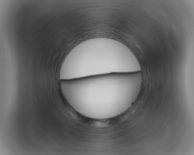 X0000113000232200908270926