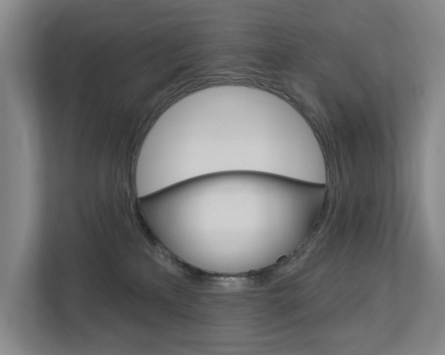 X0000113000233200908270926