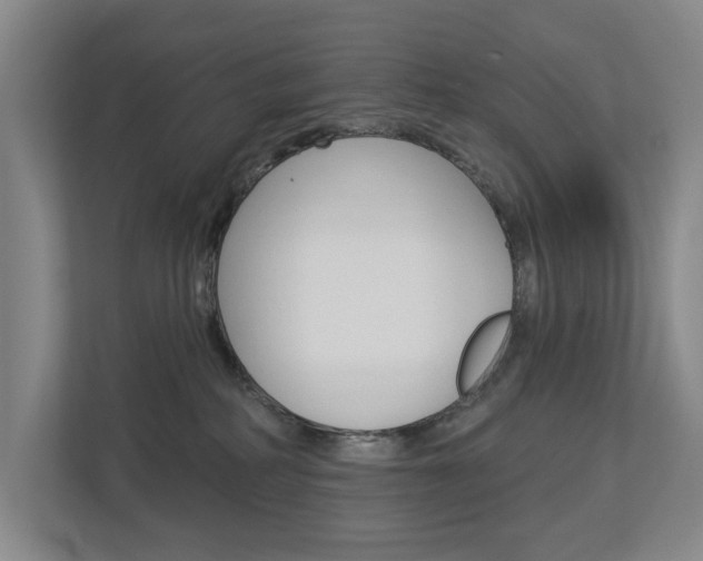 X0000113000234200908270926
