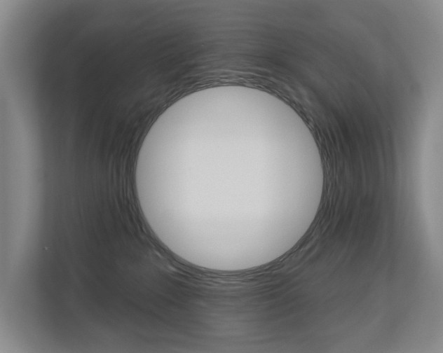 X0000113000235200908270926