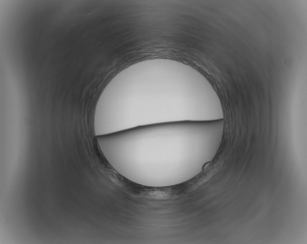 X0000113000236200908270926