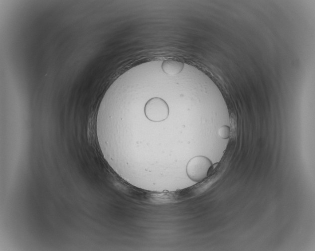 X0000113000238200908270926