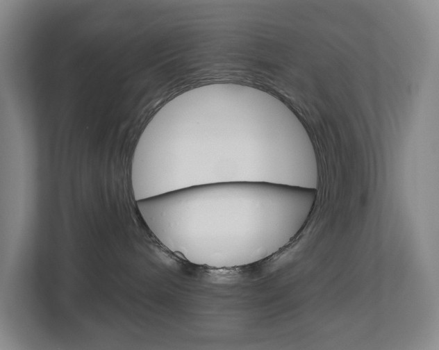 X0000113000240200908270926