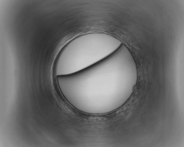 X0000113000242200908270925
