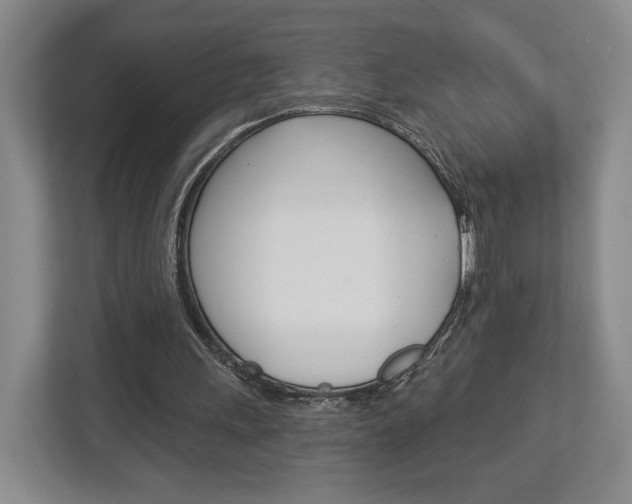 X0000113000243200908270925