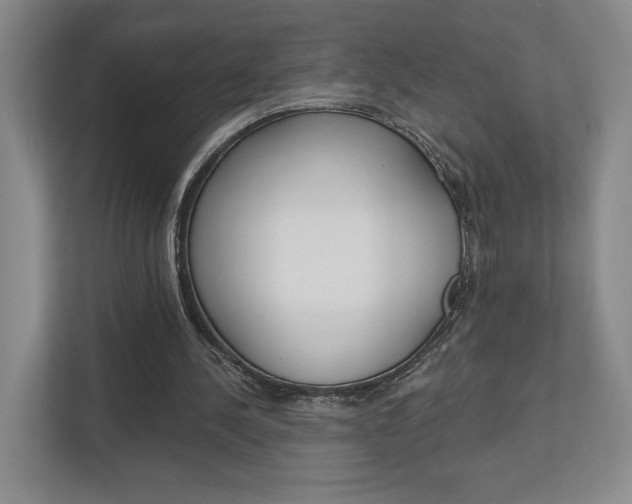 X0000113000244200908270925