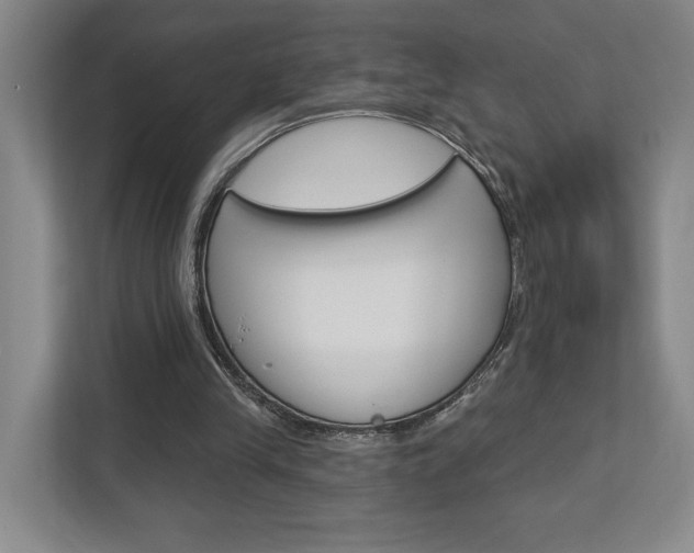 X0000113000245200908270925