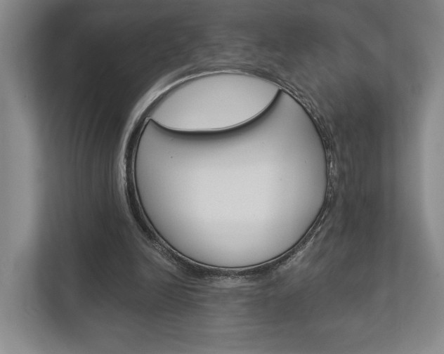 X0000113000246200908270925
