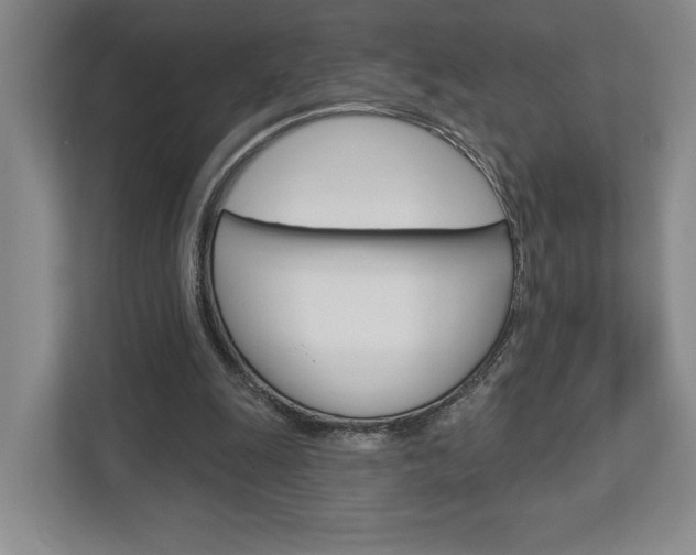 X0000113000247200908270925