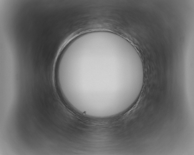 X0000113000248200908270925