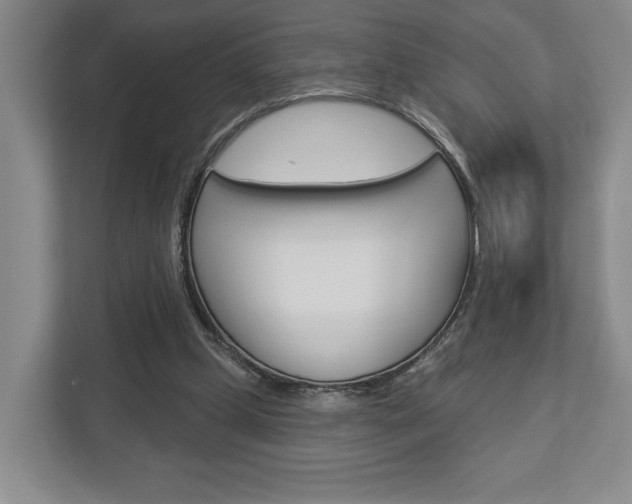 X0000113000249200908270925