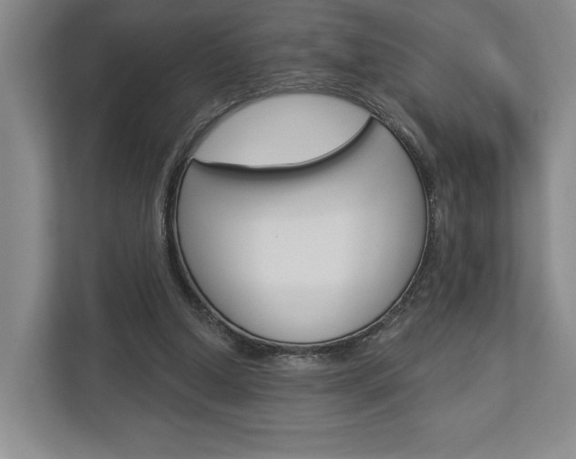 X0000113000250200908270925