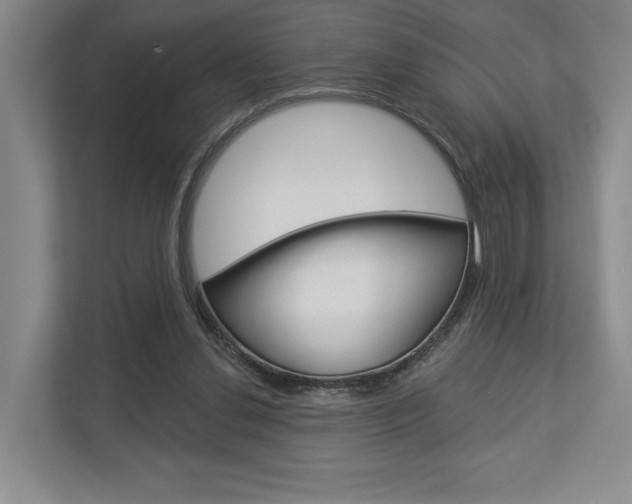 X0000113000252200908270925