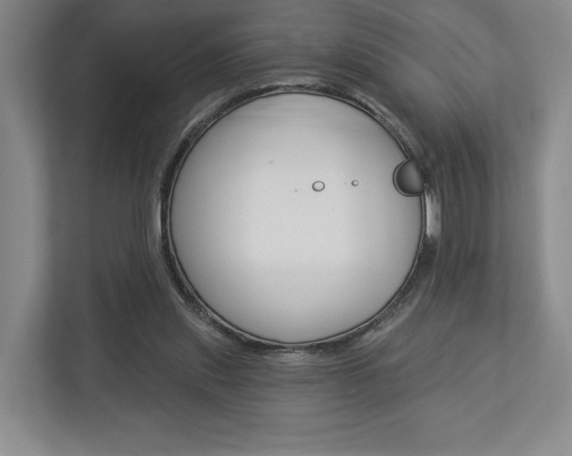 X0000113000253200908270925