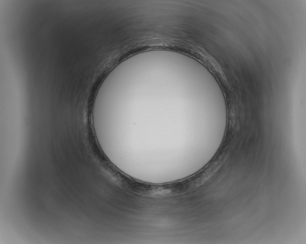 X0000113000257200908270925