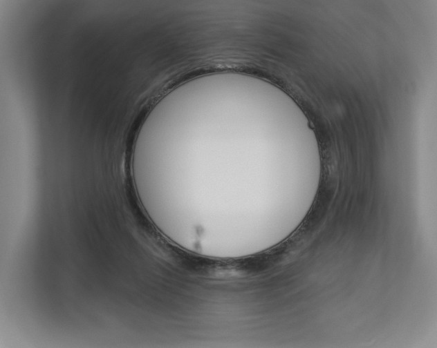 X0000113000262200908270925