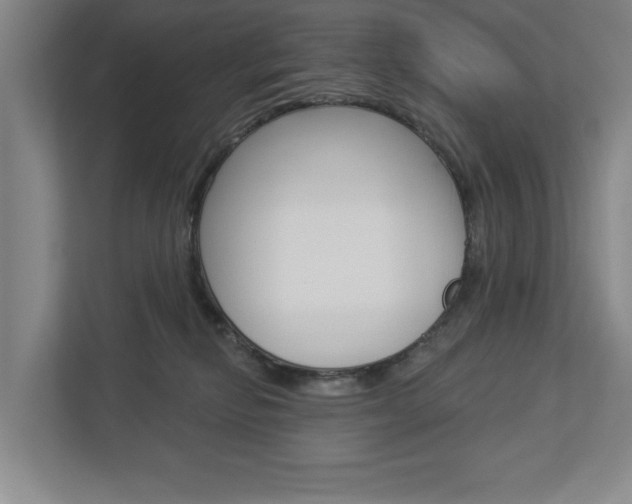 X0000113000278200908270926