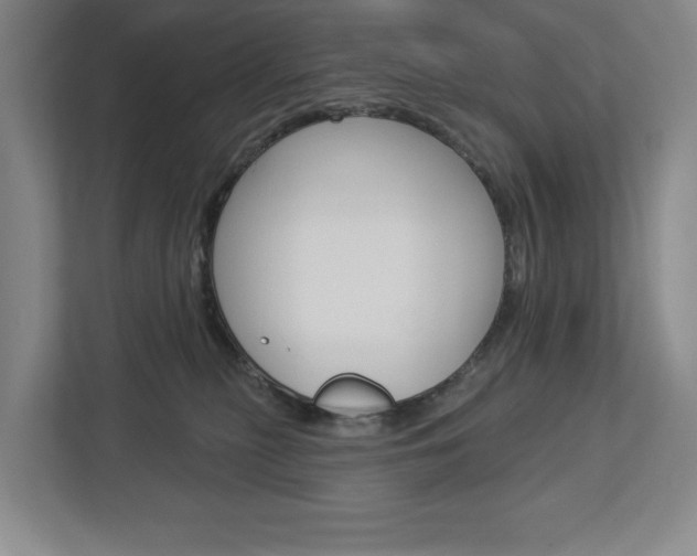 X0000113000279200908270926