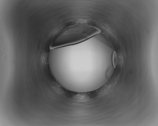 X0000113000280200908270926