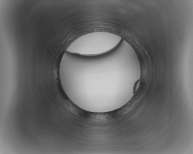 X0000113000282200908270926