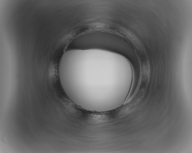X0000113000284200908270926