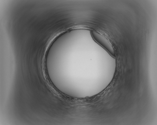X0000113000289200908270925