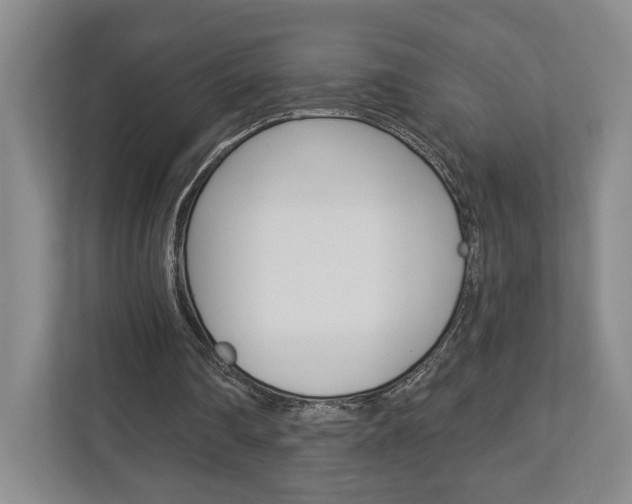 X0000113000290200908270925