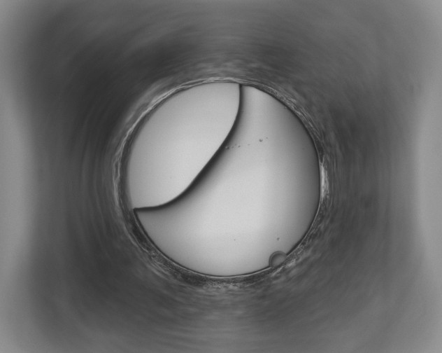 X0000113000291200908270925