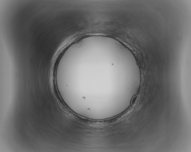 X0000113000293200908270925