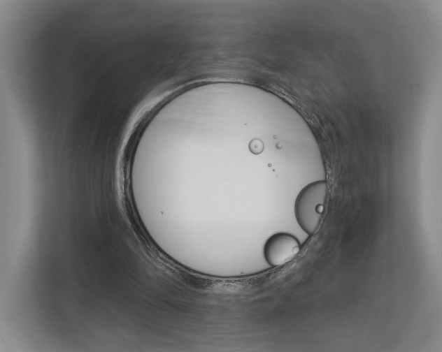 X0000113000294200908270925