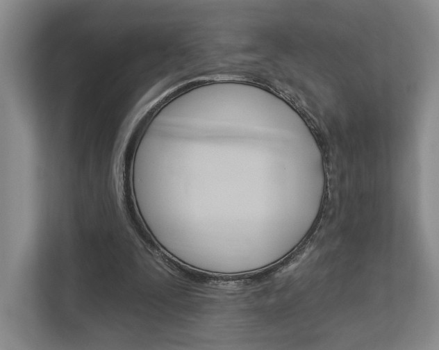 X0000113000295200908270925