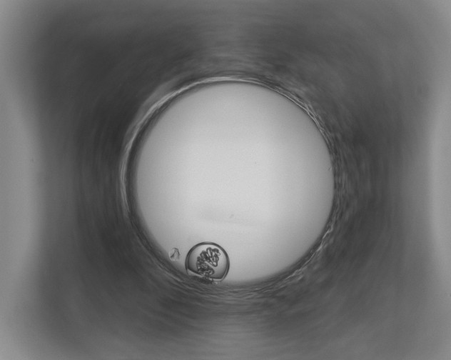 X0000113000296200908270925