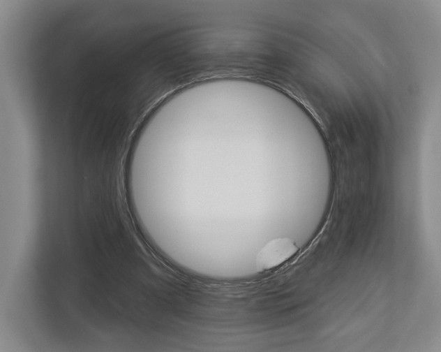 X0000113000297200908270925