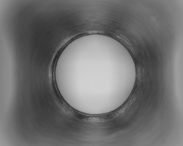 X0000113000298200908270925