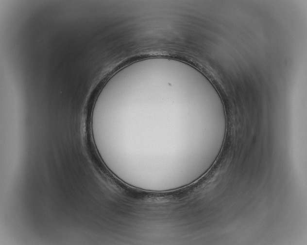 X0000113000299200908270925
