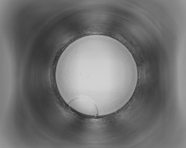 X0000113000302200908270925